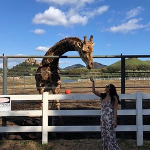 Ark & Co Paisley Jumpsuit